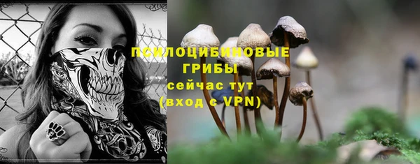 тгк Богородицк