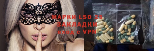 тгк Богородицк