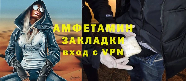 спиды Богданович